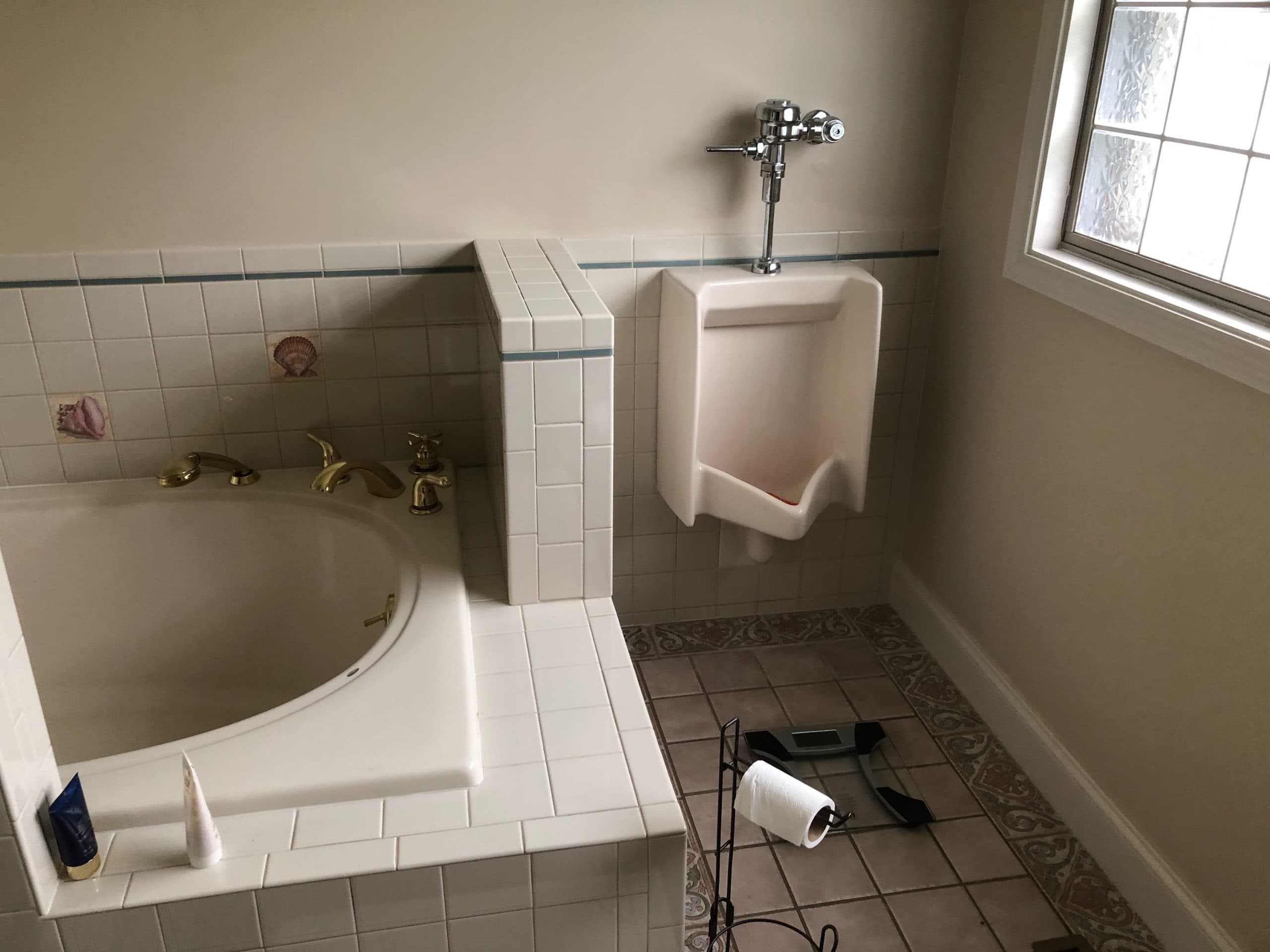 Northfield Bathroom Remodel - Master Bath Before